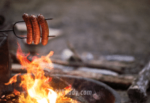 Indian Point RV Park – Eddyville, KY Campground and RV Park Reviews | RVBuddy.com