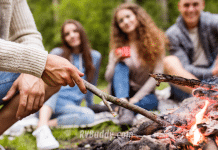 Tiger Oaks RV Park – Gibson, LA Campground and RV Park Reviews | RVBuddy.com