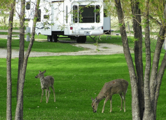 Deer Park Campground- Buffalo, WY Deer Park Campground | RVBuddy.com