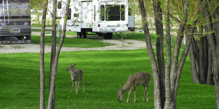 Deer Park Campground | RVBuddy.com