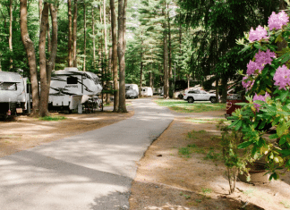 Wild Duck Campground – Scarborough, ME Wild Duck Campground | RVBuddy.com