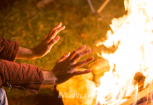 Sandy Pond Campground – Plymouth, MA Campground and RV Park Reviews | RVBuddy