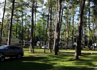 New Green Acres Camground – Walterboro, SC New Green Acres RV Park | RVBuddy.com