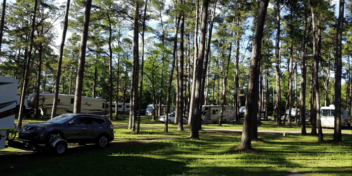 New Green Acres RV Park | RVBuddy.com