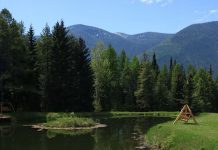 Mountain Meadow RV Park – Hungry Horse, MT Mountain Meadow RV Park | RVBuddy.com