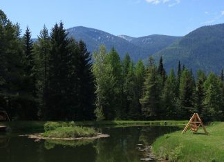 Mountain Meadow RV Park – Hungry Horse, MT Mountain Meadow RV Park | RVBuddy.com