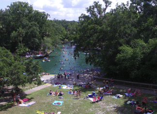 Wekiwa Springs State Park – Apopka, FL Wekiwa Springs State Park | RVBuddy.com