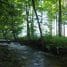 Newfound RV Park – Bridgewater, NH
