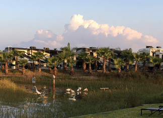 Tiki Tom’s RV Park – Tiki Island, TX Tiki Toms RV Park | RVBuddy.com