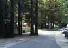 Cotillion Gardens RV Park – Felton, CA Cotillion Gardens RV Park | RVBuddy.com