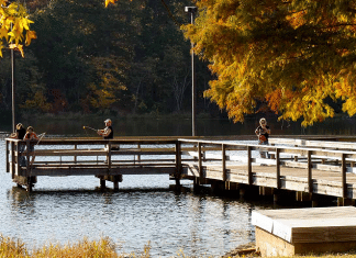 Daingerfield State Park – Daingerfield, TX