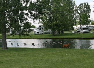 Lehman’s Lakeside RV Resort – Marengo, IL Lehmans RV Resort | RVBuddy.com