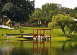Red Gate Campground & RV Resort – Savannah, GA Red Gate Campground - Savannah, GA | RVBuddy.com