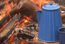 Hartwick Pines State Park – Grayling, MI RV Park and Campground Reviews | RVBuddy.com