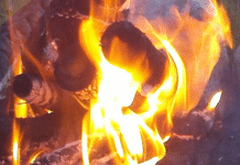 K&R RV Park – Wichita, KS Campground and RV Park Reviews | RVBuddy.com