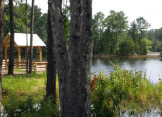 Camp Lake Jasper RV Resort – Hardeeville, SC Camp Lake Jasper RV Resort | RVBuddy.com