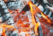 American RV Resort – Albuquerque, NM Campground and RV Park Reviews | RVBuddy