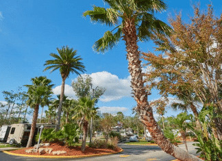 Tropical Palms RV Resort – Kissimmee, FL Tropical Palms RV Resort | RVBuddy.com