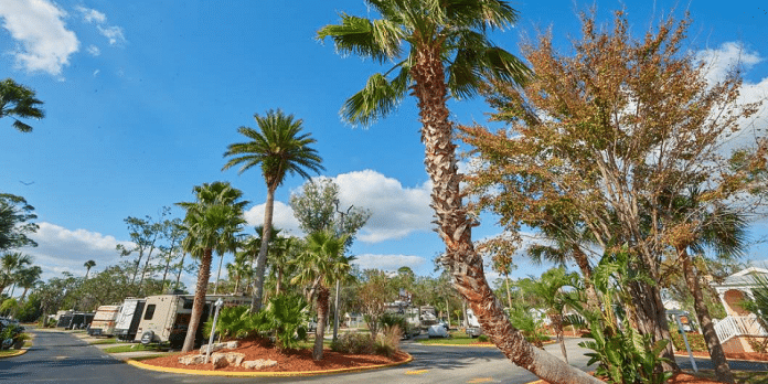 Tropical Palms RV Resort | RVBuddy.com