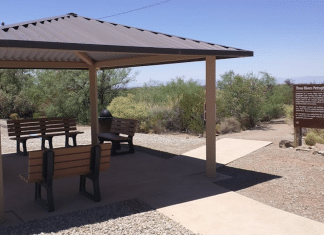 Three Rivers Petroglyph Site – Three Rivers, NM Three Rivers Petroglypth Site | RVBuddy.com