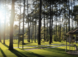 Sugar Mill RV Park – Ochlocknee, GA Sugar Mill RV Park | RVBuddy.com