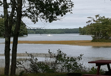 Shore Hills Campground – Boothbay, ME Shore Hills Campground | RVBuddy.com