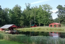 South 40 Campground – Petersburg, VA South 40 Campground - Petersburg, Virginia | RVBuddy.com