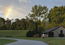 Jones Farm RV Park – Union Grove, AL Jones Farm RV Park | RVBuddy.com