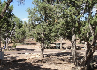 Arizona High Country Campground – Clay Springs, AZ Arizona Highcountry Campground - Clay, AZ | RVBuddy.com